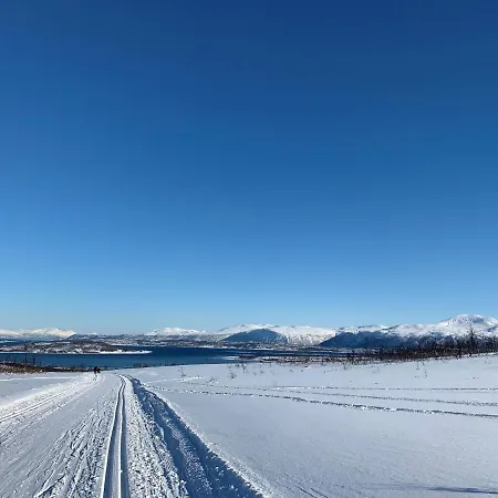 View * Tromso